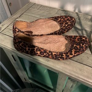 Animal Print Size 10-11 Flats